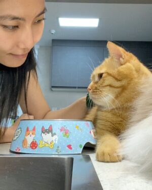 Lily Gao Instagram - 1 Barbie 
2 His name is Fried Egg 荷包蛋
3 He is a rescue 
4 Wuzhen
5 Muxin’s backyard 
6 BARBIE
7 Natural
8 Highlights 
9 You already know