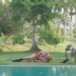Logan Paul Instagram - bad sound but there goes my reproducers 👋🏼