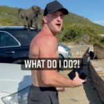 Logan Paul Instagram - wtf just happened @drinkprime Cape Town, South Africa