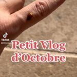 Lorie Pester Instagram - Petit VLOG musical d’octobre. #vlog #octobre #halloween #costume #plage #venise #paysbasque #paris