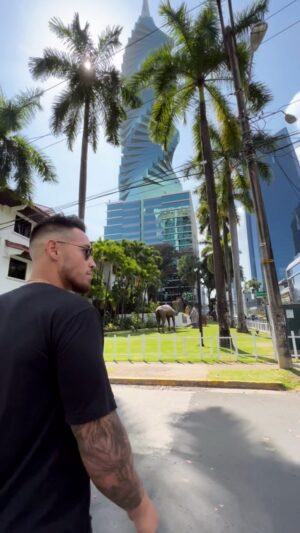 Louis-Philippe Pelletier Instagram - ☀️🚶🏽