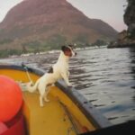 Louise Brealey Instagram - An unusual Live. Chapter Five of Moominvalley in November. Featuring Glasgow John loudly washing up, Frosty the Jack Russell, Sam’s feet and Gilbert. With viewers from Iran, Pakistan, Brazil, Bavaria, Idaho, Hong Kong and Milan. Shieldaig, Loch Torridon
