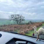 Louise Brealey Instagram - When I took this photo I panicked for a split second that there was a sheep on my bonnet. #omar #dollyontour #dollyontheroad North Yorkshire Moors