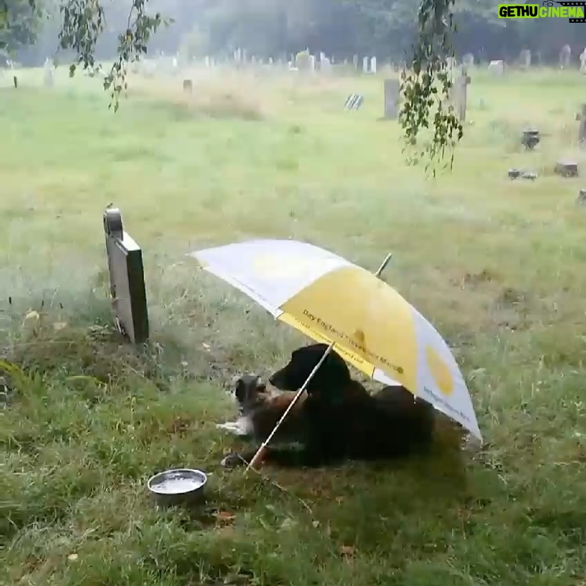 Louise Brealey Instagram - These are Gilbert’s friends. They live in Wales and he goes on his holidays there. I can’t stop watching this.