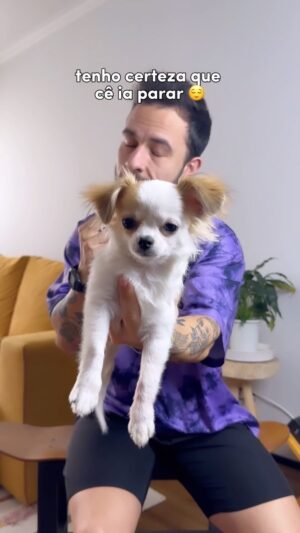 Luca Scarpelli Instagram - Dengo Scarpelli é o cachorro mais amado do bairro