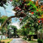 Luciano Quirino Instagram -