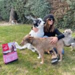 Mónica Cruz Instagram - Ningún ser da más amor sin pedir nada a cambio... ¿Cómo no les voy a dar lo mejor? @orijen_es ❤️ #amorperruno #perros #orijen #orijenperros #ad #nutrecomoloharialanaturaleza