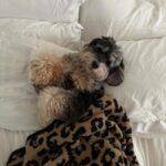 Madison Beer Instagram - he wants to say happy new year to u all