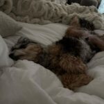 Madison Beer Instagram - all i need ! sweeeeeet reliiieeef !