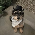Madison Beer Instagram - how to have a perfect halloween