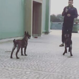 Mahendra Singh Dhoni Instagram - 