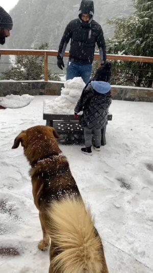 Mahendra Singh Dhoni Instagram - Waking up to flurries descending .........experiencing first snowfall of 2020 in “Queen of the hills” an amazing experience #rockvilla