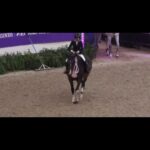 Mark Wahlberg Instagram - I’ve been to a lot of sporting events, but none more exciting or stressful than this!! My favorite athlete in the world going to another level. 🏆 🥰😘❤️ @huntersedge 🏇🏻💯