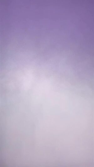 Marlee Matlin Instagram - I was proud to do this shoot on behalf of Alzheimer’s Awareness.

“From sleek and sophisticated 👠 to partying in purple 🎉, Academy Award winner and #ENDALZ Celebrity Champion @themarleematlin is going purple for Alzheimer’s & Brain Awareness Month. Join Marlee and #GoPurple to raise Alzheimer’s awareness in June.”
