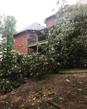 Marlon Jackson Instagram - Hello everyone, I do apologize for the delay in posting picture. I've been traveling out of the country. Upon my return I got sick for a couple of weeks. Then hurricane Irma decided to show us her love by dropping a tree on the back of the house from the winds of the tropical storm that came our way, everyone is ok. Let's continue to pray for all the victims of the hurricanes and for the people in Mexico (earthquake). As Carol and I say.
#bekind carol jackson 
#studypeace marlon jackson