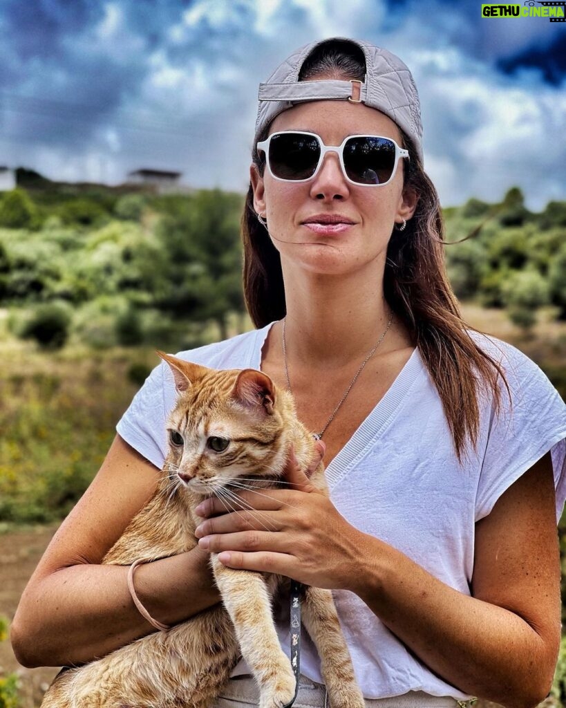 Marta Andrino Instagram - Quando me perguntam se vou ao terceiro 👶🏼👶🏼🐈… #passeiodedomingo #famíliaaçoriana #cat