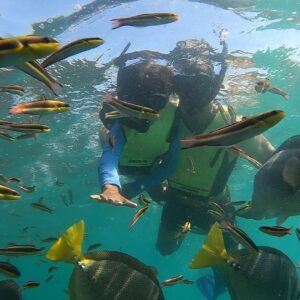 Matt Cedeño Instagram - Had a few epic snorkeling adventures with my main man…he was reaching 12 ft deep on our 2nd outing!💪🏽 #jcruz #cabo #chilenobay