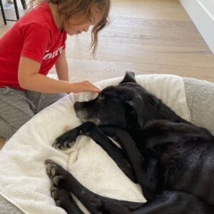 Matt Cedeño Instagram - Heavy hearted as we said goodbye to our dear Mika yesterday. She had the purest soul, she will be missed. Fly high Mika