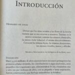 Mayra Hermosillo Instagram - Manole, pajarito carpintero. Honrando la metamorfosis. Gracias @carlaescareno por tu arte. Gracias @natalia_plascencia_ por tu complicidad en el intento.