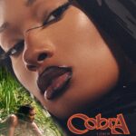 Megan Thee Stallion Instagram - COBRA 11/3 🐍🐍🐍 A HOT GIRL PRODUCTION !!! PRE SAVE NOW HOTTIES