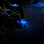Megha Thomas Instagram - A Kumbalangi Night ✨🪄 #bioluminescence #kochi #kochidiaries #kumbalanginights #kumbalangi #nighttoremember #latenight #longdrive #happy