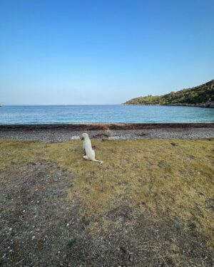 Mehmet Yılmaz Ak Instagram - Middle of nowhere🏖️