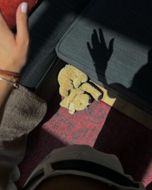 Melis Tüzüngüç Instagram - mumlar sabır olsun, gök yüzü niyeti söylesin. bana kendini hayretle izleten ve yüzümde muhakkak yansımasını taşıdığım her şeyi seviyorum. ve sonra coşmuş sardunyalara anlatıyorum gördüklerimi.
iyi ki bakıyorum.