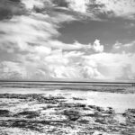 Milan Zimnýkoval Instagram - Zanzibar B&W still cool 🇹🇿🌴☀️ #zanzibar #zanzibarbeach #zanzibarisland #africa #tanzania Emerald Zanzibar Resort & Spa