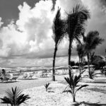 Milan Zimnýkoval Instagram - Zanzibar B&W still cool 🇹🇿🌴☀️ #zanzibar #zanzibarbeach #zanzibarisland #africa #tanzania Emerald Zanzibar Resort & Spa