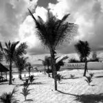 Milan Zimnýkoval Instagram - Zanzibar B&W still cool 🇹🇿🌴☀️ #zanzibar #zanzibarbeach #zanzibarisland #africa #tanzania Emerald Zanzibar Resort & Spa