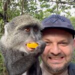 Milan Zimnýkoval Instagram - Zanzibarská Zoo, keď nevydá čas na safari #zoo #zanzibar Nungwi