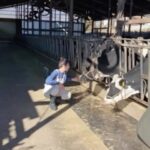 Miyu Kitamuki Instagram - いよいよ明日！ お渡し記念イベントです！ 皆さんに楽しんでもらえるように私も楽しみながら頑張ります🧡🎉 おやすみなさい⭐️ 撮影中に牛と戯れてるオフショット動画🎥 インスタライブもありがとうございました✨