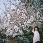 Miyu Kitamuki Instagram - 春!バイバイ! ツーリング日和!