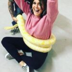 Molly Tarlov Instagram - I miss Lemonade most at night, I can still feel her body wrapped around me. So SO tight. @elijahdanielistrash on the cam @chrisklemens & @csydelko on the commentary and @snakesbytestv for lending us Lemonade 🍋🐍