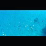 Murat Eken Instagram - - "Hareket" ile ekmeğe doğru hareket alıyoruz arkadaşlar! Hazır! 3 - 2 - 1 kayıt! + akıyo! - HAREKEET!!
