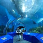 Narendra Modi Instagram - Enter the world of robots, fishes and beautiful flora and fauna…all in the Gujarat Science City!