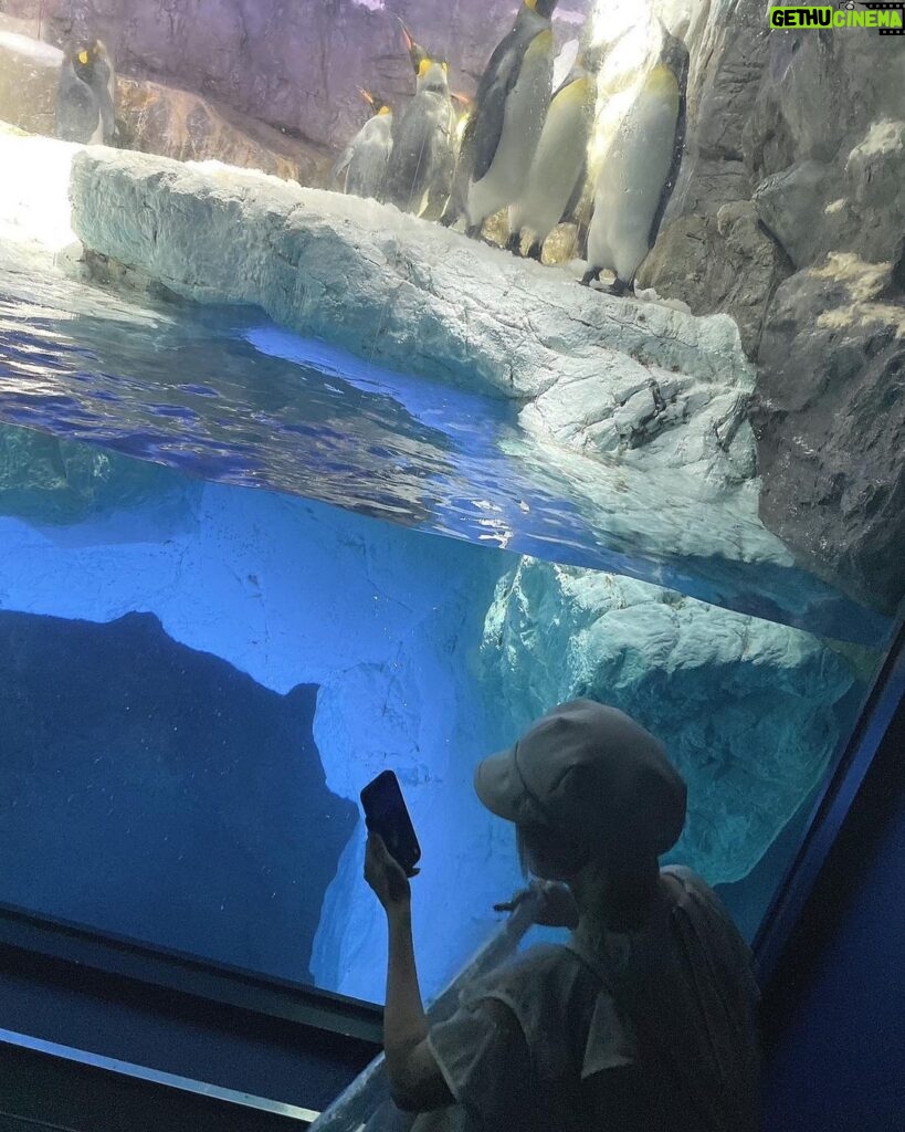 Natsumi Maki Instagram - 水族館って楽しいね🦈🫧 #海遊館 #プロレスラーの休日 #こんな彼女はどうですか #natsupoi #なつぽい