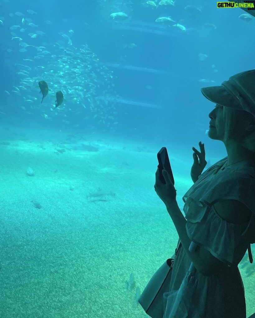 Natsumi Maki Instagram - 水族館って楽しいね🦈🫧 #海遊館 #プロレスラーの休日 #こんな彼女はどうですか #natsupoi #なつぽい
