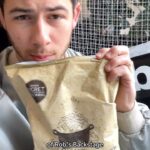 Nick Jonas Instagram - For my tour pre-show ritual all you need is to head to @krogerco, grab a bag of @robspopcorn… and enjoy! Easy 😎 Head to the link in @robspopcorn bio to find Rob’s in stock at a Kroger store near you!