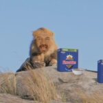 Nick Knowles Instagram - Eat Shreddies. Feel like a lion. Be #ShreddieForAnything
