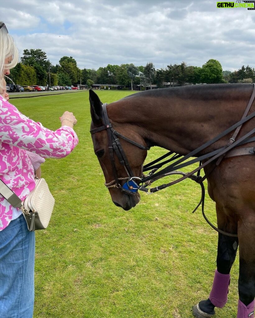 Nicki Shields Instagram - Took the boys to meet some four legged friends 🐎 at the launch of @polointhepark with @chestertons.london and a special visit from @sharkyandgeorgeevents. Feeling pretty in purple wearing @nobodyschild 💜 Arthur wearing MY sunnies! 😎 Thanks for having us! #family #polointhepark #nobodyschild #horses #polo #familydayout Ham Polo Club