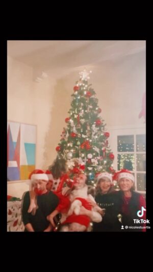 Nicole Stuart Instagram - And then the picture of when your 45pd. Bulldog #headbutts you in the face lol 🤣😜😂🛷🎄 #merrychristmas ⁣
.⁣
.⁣
.⁣
.⁣
.⁣
#christmaseve #christmas2022 #merrychristmas #holidays #instagood #instagram #explorepage #christmas #christmasgifts #christmaslights #christmaslove #christmasmagic #family #familygoals #navidad #navidad🌲 #noel #regalos #santa