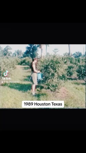 Nicole Stuart Instagram - 1989 ( Houston Texas) vs. 2023 <
🫐🫐🫐🫐picking blueberrys Houston Texas during the middle of my duration while dancing there in the show I danced in callled Bottoms Up.  A Las Vegas show we took on the road to the Tower Theatre in Houston.  Today in 2023 we went picking Blueberrys with my family and im so grateful to be able to be doing this some 31 years later.  Holy shit time does fly by… with me is @brigil97 my #bff ⁣
.⁣
.⁣
.⁣
.⁣
.⁣
#bethankfuleveryday #inspireothers #positivity #happinessisaninsidejob #focused #focus #positivemindset #happinessisachoice #thinkpositive #focusonthegood #mindsetiseverything #changestartswithyou # #inspiration #changeisgood #youcandoanything #change #me #changetheworld #staytruetoyourself #changemaker #goodvibes #changeyourself #focusonyourgoals #changemakers