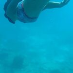Nidhi Bhanushali Instagram - With each dive, I searched the underwater realm, navigating through coral kingdoms and schools of fish, all in pursuit of this breathtaking creature—a treasure of the deep blue sea.