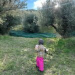 Nikoletta Ralli Instagram - Σαν την φύση δεν έχει🌳🏡 Είναι στιγμές που απορώ, τι κάνω (κάνουμε) στην Αθήνα;! Ρητορική ερώτηση προφανώς…την απάντηση την ξέρω.. Πλατανος ΑΧΑΙΑΣ