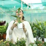 Nishita Goswami Instagram - Have you ever experienced that wonderful feeling when you take care of something and witness it grow? Speaking of nurturing, I recently purchased a few plants from Siddhi Greens, and the experience was truly fulfilling. And guess what? I returned to Siddhi Greens once again to explore their new collections. Speaking of their new collections, their winter lineup includes Aglaonema, colorful poinsettias, beautiful chrysanthemums, and more. Do visit Siddhi Greens to explore these beautiful collections and treat yourself to adorable plants this New Year. Makeup- @jonaliboruahmakeupartist Videography- @riyandipenphotography Siddhi Greens Address: Dakhingaon Cycle Track, GG Rd, Sawkuchi, Guwahati, Assam 781040 Contact Number: 9706066321 #flowerblooming #flowerblossom #flowerlovers #plantshop #plantshoping #plantworld #plantation #plantoholic #varietyofplants #nature #plants #flowers #plantsingarden #gogreenorgohome #guwahatinursery #plantseller #guwahati #siddhigreens