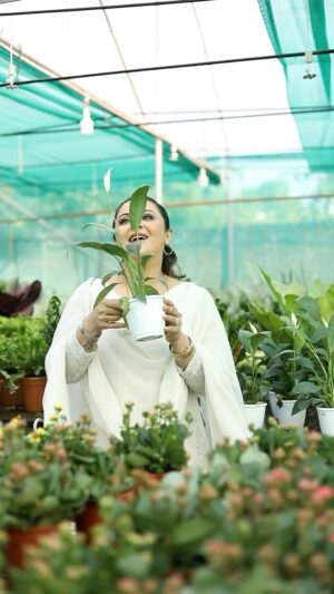 Nishita Goswami Instagram - Have you ever experienced that wonderful feeling when you take care of something and witness it grow? Speaking of nurturing, I recently purchased a few plants from Siddhi Greens, and the experience was truly fulfilling. And guess what? I returned to Siddhi Greens once again to explore their new collections.

Speaking of their new collections, their winter lineup includes Aglaonema, colorful poinsettias, beautiful chrysanthemums, and more. Do visit Siddhi Greens to explore these beautiful collections and treat yourself to adorable plants this New Year.

Makeup- @jonaliboruahmakeupartist 
Videography- @riyandipenphotography 
Siddhi Greens Address: Dakhingaon Cycle Track, GG Rd, Sawkuchi, Guwahati, Assam 781040
Contact Number: 9706066321

#flowerblooming #flowerblossom #flowerlovers #plantshop #plantshoping #plantworld #plantation #plantoholic #varietyofplants #nature #plants #flowers #plantsingarden #gogreenorgohome #guwahatinursery #plantseller #guwahati #siddhigreens