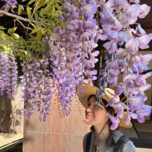 Noël Wells Instagram - spring has spring!