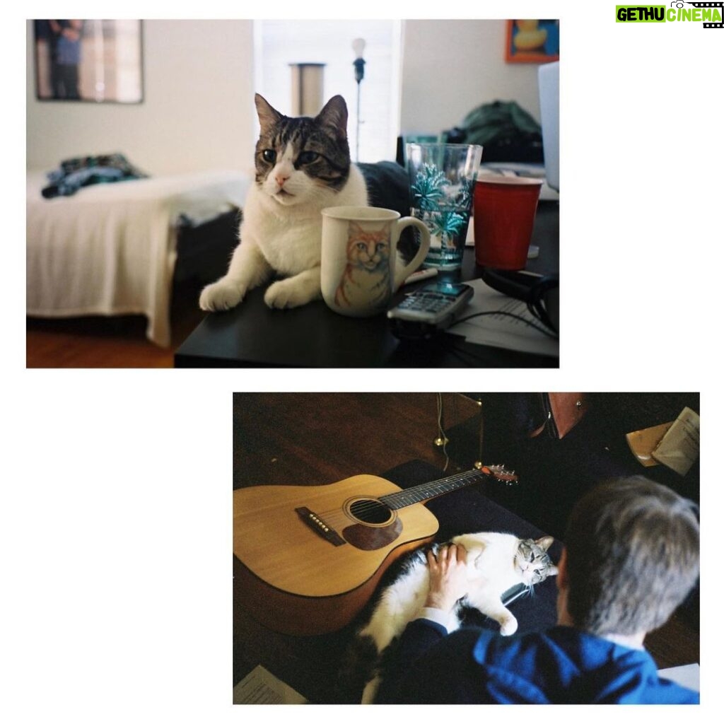 Noël Wells Instagram - just wanna get this out while I have my wits about me, but sadly today me and flinty had to put Mr. Feeny to sleep. To those who knew him, you know this is an end of a freaking era and I'm absolutely beside myself with sadness. 17 years. He was a cool fucking cat, who traversed many college adventures, apartments, houses, boyfriends, and eventually traveled 2000 miles to Los Angeles California where he settled underneath the Hollywood sign, calling Beachwood Canyon home. He was a soulmate and companion through many episodes of my youthful immaturity, but was very much loved and quite an honored and illustrious feline who would take walks around the neighborhood and played fetch. He made many brushes with death, but many more brushes with notoriety, landing himself in a viral zine (How to Talk To Your Cat About Gun Safety) being featured in a a published book (Cat Lady, curated by Leah Goren) and of course, he was the inspiration and basis for my first feature film "Mr. Roosevelt." We were lucky to be there with him in his final moments, and he was in my arms with his pretty white paws resting on my wrists like he used to when he was a lil one. Thank you so much Flint for being a good cat dad, and thank you Dave for everything. Thanks to all my friends who knew and got him. For just a fucking cat he was one of the very greats.