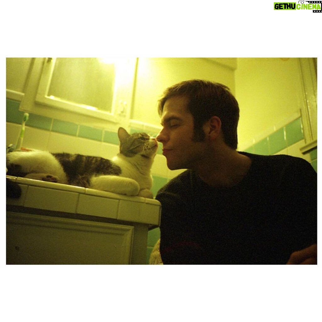 Noël Wells Instagram - just wanna get this out while I have my wits about me, but sadly today me and flinty had to put Mr. Feeny to sleep. To those who knew him, you know this is an end of a freaking era and I'm absolutely beside myself with sadness. 17 years. He was a cool fucking cat, who traversed many college adventures, apartments, houses, boyfriends, and eventually traveled 2000 miles to Los Angeles California where he settled underneath the Hollywood sign, calling Beachwood Canyon home. He was a soulmate and companion through many episodes of my youthful immaturity, but was very much loved and quite an honored and illustrious feline who would take walks around the neighborhood and played fetch. He made many brushes with death, but many more brushes with notoriety, landing himself in a viral zine (How to Talk To Your Cat About Gun Safety) being featured in a a published book (Cat Lady, curated by Leah Goren) and of course, he was the inspiration and basis for my first feature film "Mr. Roosevelt." We were lucky to be there with him in his final moments, and he was in my arms with his pretty white paws resting on my wrists like he used to when he was a lil one. Thank you so much Flint for being a good cat dad, and thank you Dave for everything. Thanks to all my friends who knew and got him. For just a fucking cat he was one of the very greats.